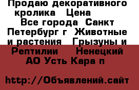 Продаю декоративного кролика › Цена ­ 500 - Все города, Санкт-Петербург г. Животные и растения » Грызуны и Рептилии   . Ненецкий АО,Усть-Кара п.